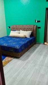 aleesya homestay