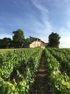 Maisons de vacances La Maison du Clos du Roi : photos des chambres