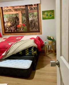 Chalet con Tinaja LicanRay