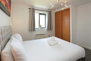 Albion Street Apartments