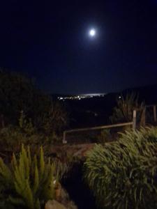 Hotel Funtana Ena img63