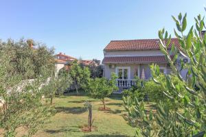 Ane in Pula - Istrien