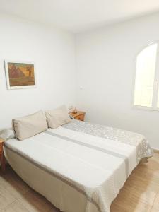 ALQUILER VACACIONAl TORREVIEJA