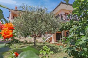 Nina in Rovinj - Istrien