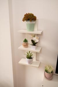 Belle Maison, Pune Airport