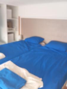 Casa Roisin old town