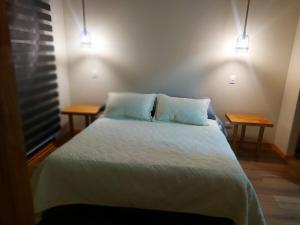 Beautiful Cabin in Pucon 4D3B