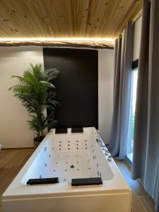 Bella Casa Araujo 2