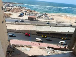 الاسكندريه