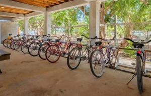 Infinite Sea - 3 bed 2 bath Upper Unit Caye Caulker