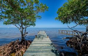 Infinite Sea - 3 bed 2 bath Upper Unit Caye Caulker