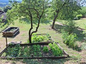 Mjesto za odmor Golden Hill