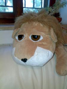 Casa Vacanza la Rondine