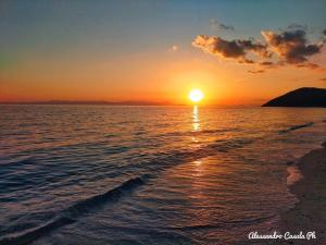 Kasa Kalagonis img41