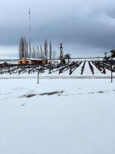 Refugio exclusivo entre Viñedos y Cordillera