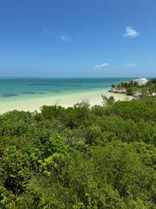 Penthouse Con Alberca Privada Y Hermosas Vistas Al Mar - C301