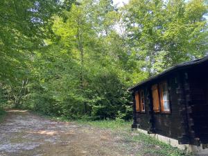 Refuge Nature - Chalet avec Terrasse vue forêt