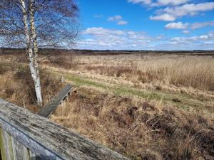 6 person holiday home in Bredebro