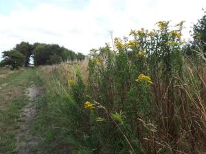 6 person holiday home in Bredebro