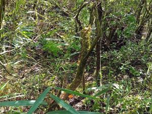 6 person holiday home in Bredebro