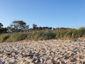 8 person holiday home in Aabenraa-By Traum