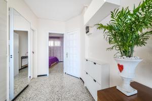 BuenaVista Apartment