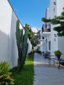 Villa Alebrije Cozumel