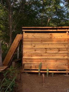 Omnia puerto escondido