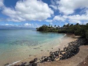 Ocean-Facing Maui B&B Room - Breakfast, BBQ & AC
