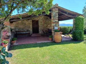 Farmhouse in Tuscany with Olive Grove Views