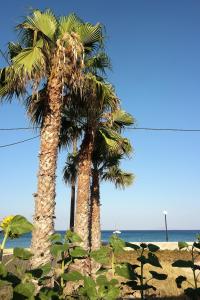 Eleni Studios Kos Greece