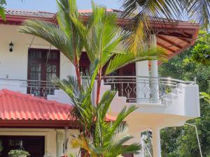 Cozy Nest Home Stay