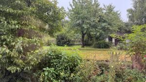 Lea Apartement - Ruhiges Studio