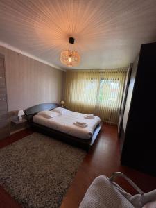 Le Point central - Terrasse - Proche de Colmar