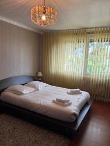 Le Point central - Terrasse - Proche de Colmar