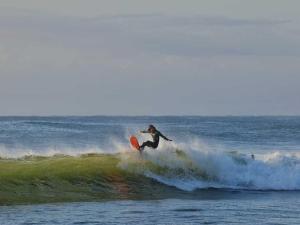 PiPi Vacation Rental