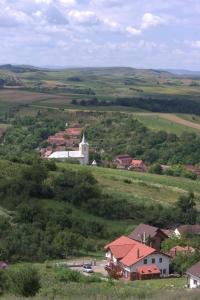 Pensiunea Casa din Vii