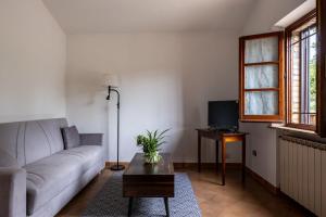 Oliveto Del Cantarello