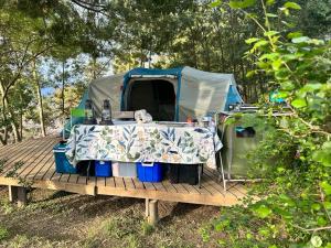 Gaia River Wooden deck campsite