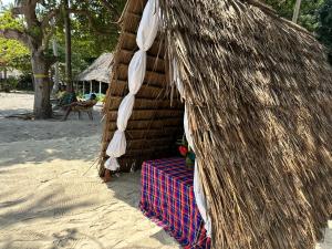 AfroWhaleSharkSafari & AfroBeachBungalows