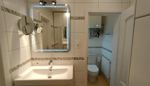 Luxury Gato View Apartment Karlovy Vary with private parking