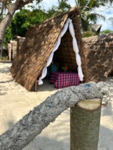 AfroWhaleSharkSafari & AfroBeachBungalows