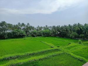 Leela beachside stay