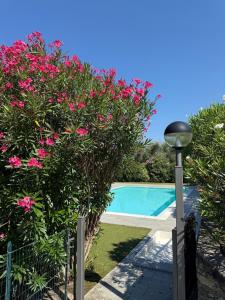 Bluelow Lakeview house