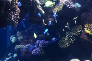 Apartment - Sleeps 2 3 - Pool - Beach