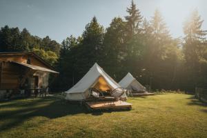 Glamping Natur Resort Jetřichovice - Ubytování bez kategorie ve městě Jetřichovice