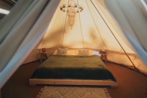 Glamping Natur Resort Jetřichovice
