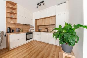 Zenit Horizon Residence with AC , Garage