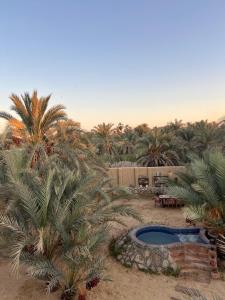 TATRABENT - Eco Friendly retreat in Siwa