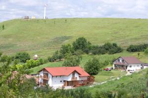 Pensiunea Casa din Vii